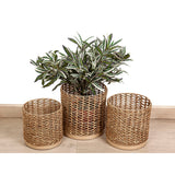 Set of Planters Romimex Natural (3 Pieces)-1