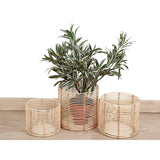 Set of Planters Romimex Natural Rattan (3 Pieces)-1