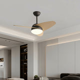 Ceiling Fan with Light Romimex Black Natural-3