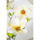 Decorative Flowers Romimex White Magnolia 70 x 150 x 60 cm-1