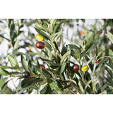 Decorative Plant Romimex Plastic Olive tree 180 x 250 x 180 cm-1