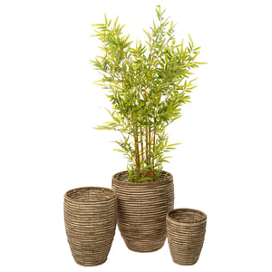 Set of Planters Romimex Natural Fibre 40 x 49 x 40 cm 3 Pieces-0