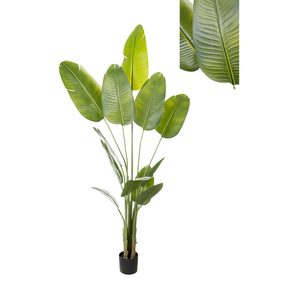 Decorative Plant Romimex Strelitzia Plastic 110 x 210 x 70 cm-0