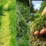 Battery Mower Cecotec E7 Liberty Z Plus 20 V 43 cm 20-70 mm 45 L 2 Pieces-3