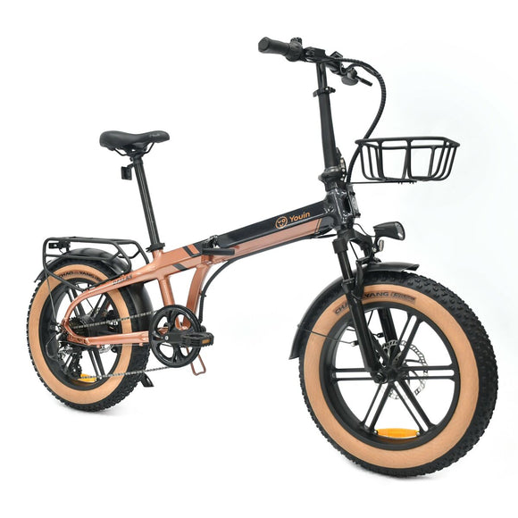 Electric Bike Youin BK1650 DALLAS Black Coffee 250 W 20