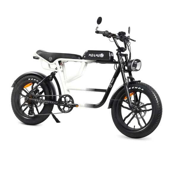 Electric Bike Youin BK7000 MIAMI 250 W 20