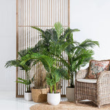 Decorative Plant Polyethylene Palm tree 170 cm-5