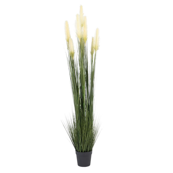 Decorative Plant 44 x 48 x 200 cm Green Cream PVC-0