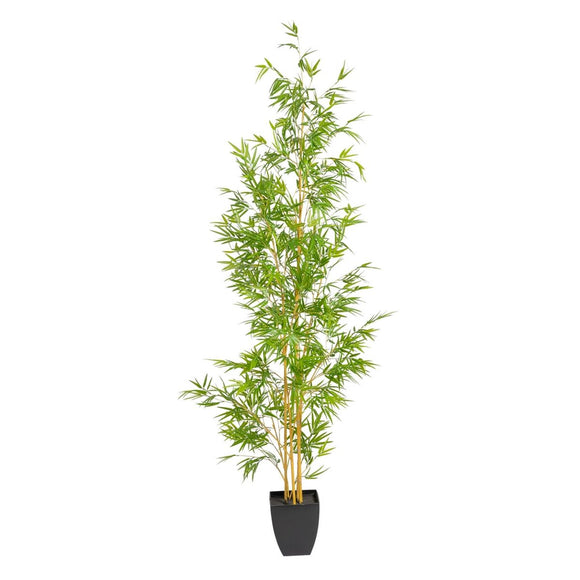 Decorative Plant Polyethylene Bamboo 90 x 86 x 220 cm-0