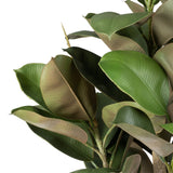 Decorative Plant 134 cm Green PVC Oak-4
