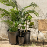 Planter Ceramic 46 x 46 x 47 cm (3 Units)-1