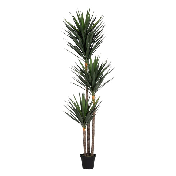 Decorative Plant Polyethylene Iron Cement Yucca 30 x 30 x 250 cm-0