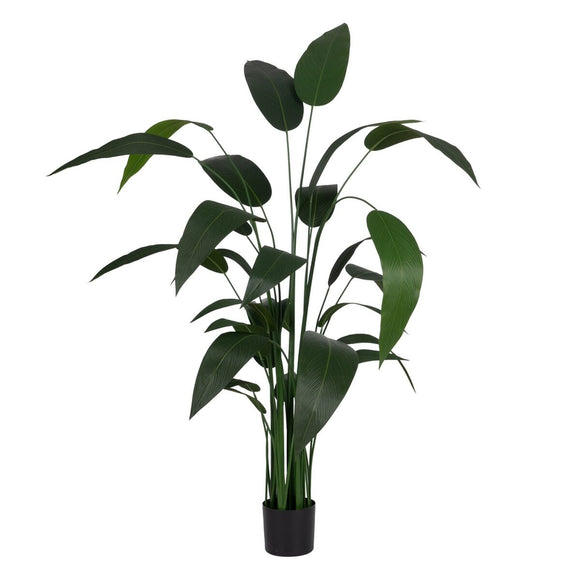 Decorative Plant PVC Cement Fabric Bird of paradise 50 x 50 x 220 cm-0