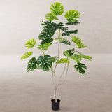 Decorative Plant Polyurethane Cement Monstera 180 cm-5