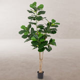Decorative Plant Polyurethane Cement Fig Tree 175 cm-4