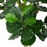 Decorative Plant Polyurethane Cement Fig Tree 175 cm-1