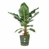 Plant pot Elho Green Ø 55 cm Plastic-1