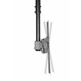 TV Mount Neomounts NM-C440BLACK         32-60" 50 kg-4