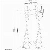 TV Mount Neomounts PLASMA-M1000 32" 55" 35 kg-8