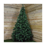 Christmas Tree EDM 680314 Pinewood-3