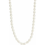 Ladies' Necklace Ti Sento 3994PW/42-3