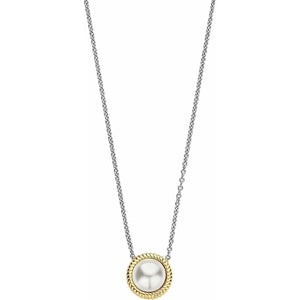 Ladies' Necklace Ti Sento 34031YP/42-0