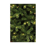 Christmas Tree Black Box (185 x 115 cm)-3
