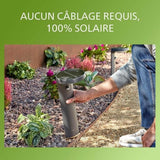 Lamp Philips Black E27 (1 Unit)-3