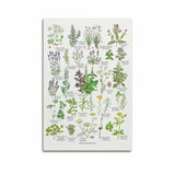 Smartphone Samsung SM-A566BZACEUE 6,7" 1 GB RAM 8 GB RAM 256 GB Grey-7