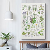 Smartphone Samsung SM-A566BZACEUE Octa Core 8 GB RAM 256 GB Grey 6,7"-3