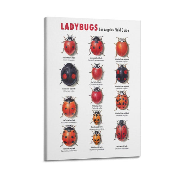 Samsung Neo QLED TV 50 Inch QE50QN90FATXXH 4K Smart TV-0