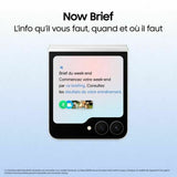 Smartphone Samsung SM-F761BZKHEUB 6,7" 8 GB RAM 256 GB Black-5