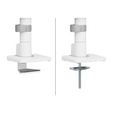 Screen Table Support Neomounts DS65S-950WH2 34"-2