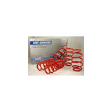 Spring Kit Cobra COB002689-0