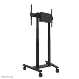 Neomounts FL55-875BL1 Black Fixed Floor Stand