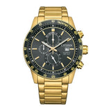 Citizen Watch AN3682-54E Quartz 5 ATM Mineral Glass 44mm Official Box