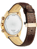 Citizen Watch AT8263-10H Quartz 10 ATM Sapphire Chronograph Official Box