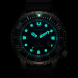 Citizen Watch PROMASTER ECO DRIVE 200M Structure Dial Limited Edition