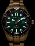 CITIZEN Mod. BN0262-59W-1