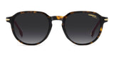 CARRERA MOD. CARRERA 376_S-1