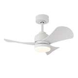 Ceiling Fan with Light Romimex White-0