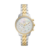 FOSSIL WATCHES Mod. ES5216-0