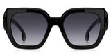 ETRO Sunglasses 0054_S Acetate Lady