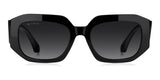 ETRO Sunglasses 0123_S Base Lady Acetate