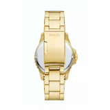 FOSSIL Mod. FS6030