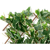 Decorative Plant Ibergarden 1004012 1004012 Polyethylene PEVA 180 x 2 x 90 cm 30 x 180 x 35 cm 35 x 120 x 8 cm 35 x 180 x 40 cm-1