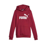 Children’s Hoodie Puma Ess Brown-0