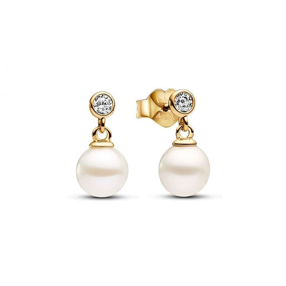 Ladies' Earrings Pandora 263153C01-0