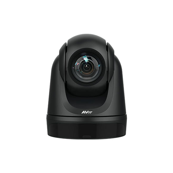 Webcam AVer DL30-0