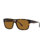Men's Sunglasses Emporio Armani EA 4197-6